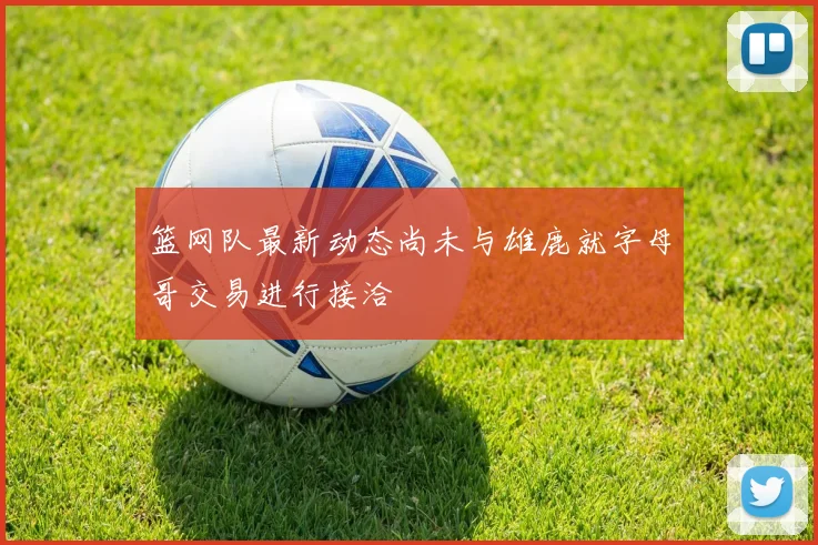 篮网队最新动态尚未与雄鹿就字母哥交易进行接洽