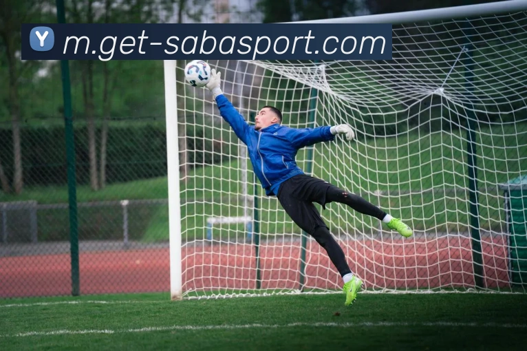 沙巴体育平台生态图